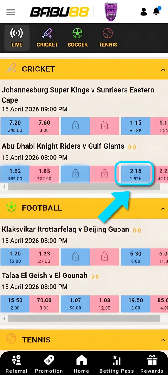 Choose a profitable betting option for your chosen match at Babu88.